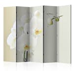 Rumsavdelare Arkiio White Orchid II 225x172 cm