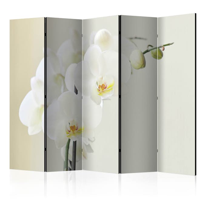Rumsavdelare Arkiio White Orchid II 225x172 cm