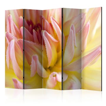 Rumsavdelare Arkiio Pastel Colored Dahlia Flower With Dew Drops II 225x172 cm