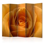 Rumsavdelare Arkiio Yellow Rose – A Symbol Of Friendship II 225x172 cm