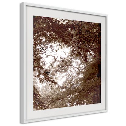 Poster Artgeist Affisch Freedom