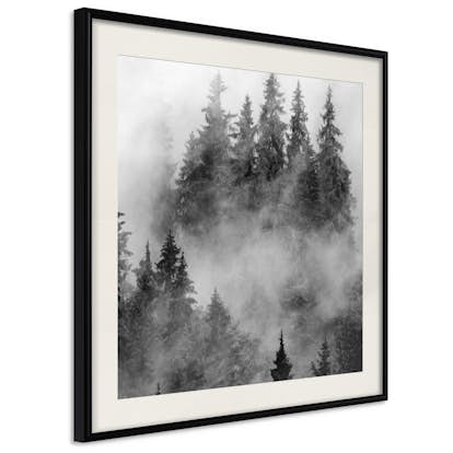 Poster Artgeist Affisch Black Forest