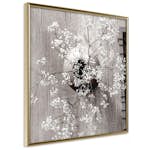 Poster Artgeist Affisch Dried Flowers Fyrkantig