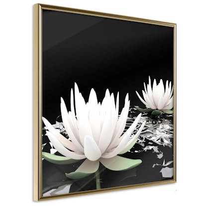 Poster Artgeist Affisch Lotus Flowers