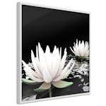 Poster Artgeist Affisch Lotus Flowers