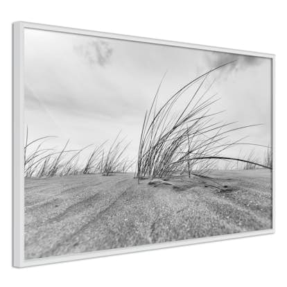 Poster Artgeist Affisch Seaside Reed