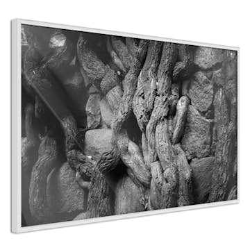 Poster Artgeist Affisch Overgrown Stones