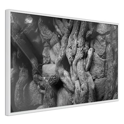 Poster Artgeist Affisch Overgrown Stones