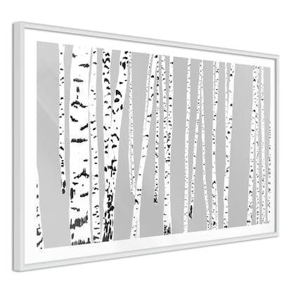 Poster Artgeist Affisch Birch