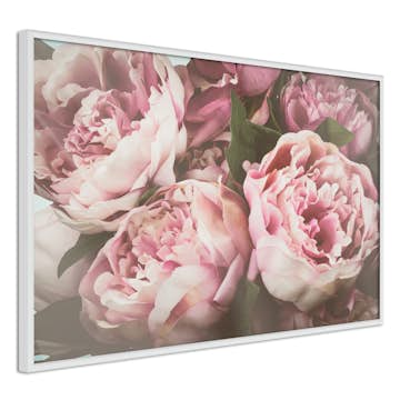 Poster Artgeist Affisch Pink Peonies