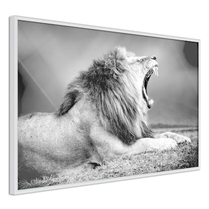 Poster Artgeist Affisch Deafening Roar