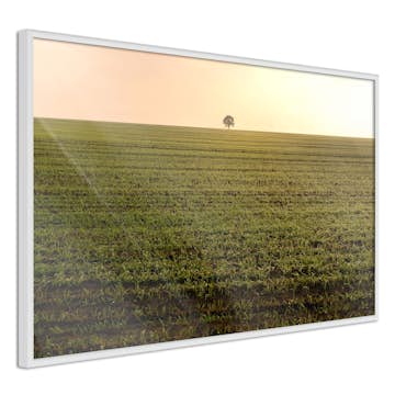 Poster Artgeist Affisch Autumn Morning