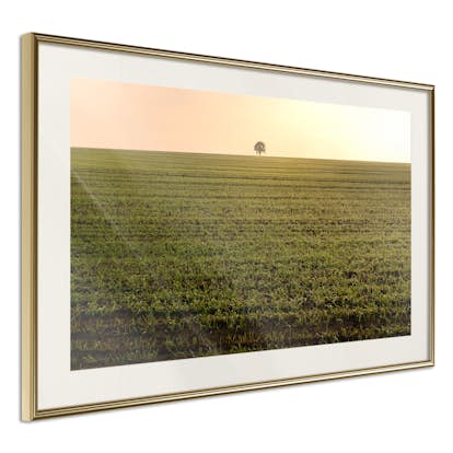 Poster Artgeist Affisch Autumn Morning