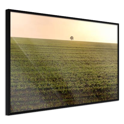 Poster Artgeist Affisch Autumn Morning