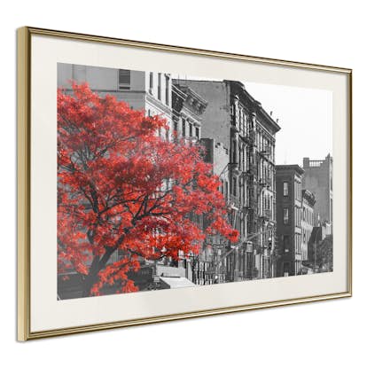 Poster Artgeist Affisch Autumn in New York