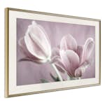 Poster Artgeist Affisch Pink Tulips
