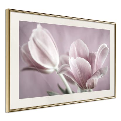Poster Artgeist Affisch Pink Tulips