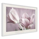 Poster Artgeist Affisch Pink Tulips