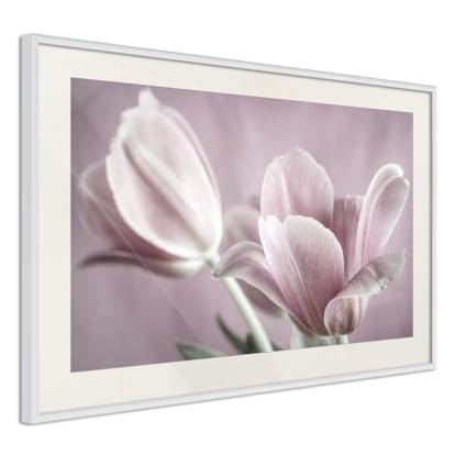 Poster Artgeist Affisch Pink Tulips