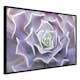Poster Artgeist Affisch Purple Succulent