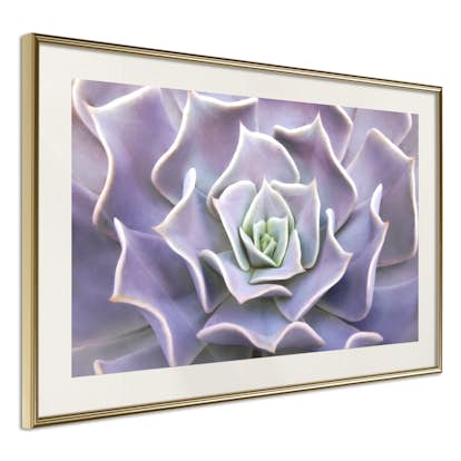 Poster Artgeist Affisch Purple Succulent