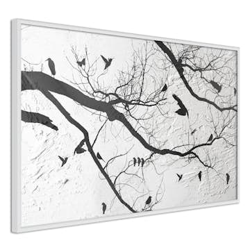 Poster Artgeist Affisch Bird Meeting