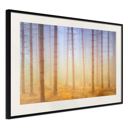 Poster Arkiio Affisch Foggy Forest