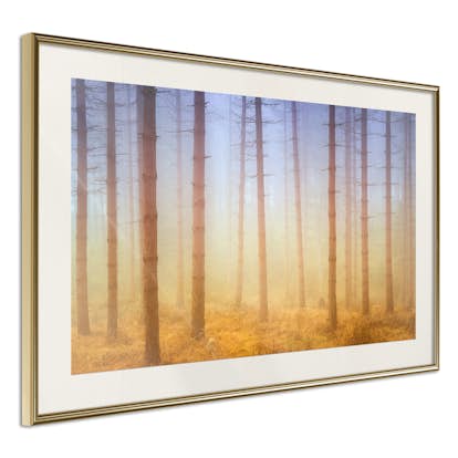 Poster Arkiio Affisch Foggy Forest