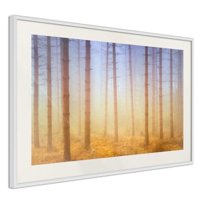 Poster Arkiio Affisch Foggy Forest