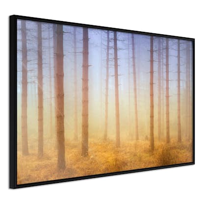 Poster Arkiio Affisch Foggy Forest
