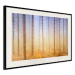 Poster Artgeist Affisch Foggy Forest