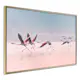 Poster Artgeist Affisch Flamingos Race