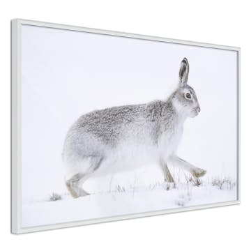 Poster Artgeist Affisch Rabbit
