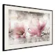 Poster Artgeist Affisch Magnolia Memory