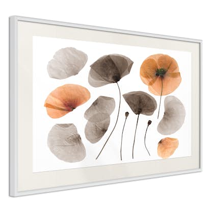 Poster Arkiio Affisch Meadow Herbarium