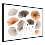 Poster Artgeist Affisch Meadow Herbarium
