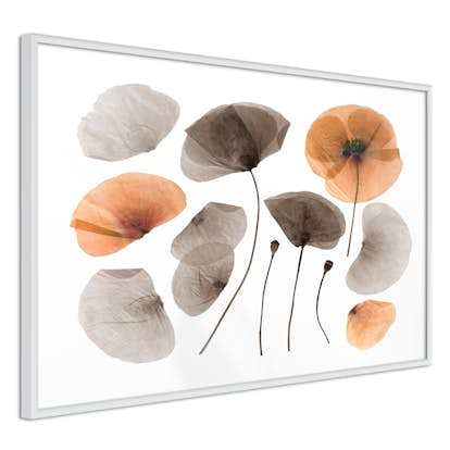 Poster Arkiio Affisch Meadow Herbarium