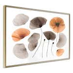 Poster Artgeist Affisch Meadow Herbarium