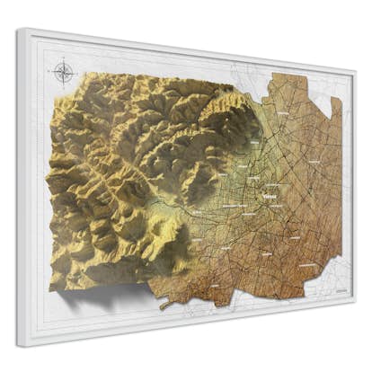 Poster Artgeist Affisch Isometric Map Vienna