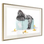 Poster Artgeist Affisch Hungry Gorilla