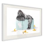 Poster Artgeist Affisch Hungry Gorilla