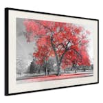 Poster Artgeist Affisch Autumn in the Park Red