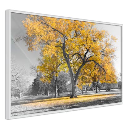 Poster Artgeist Affisch Autumn in the Park Gold