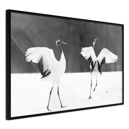 Poster Artgeist Affisch Dancing Cranes