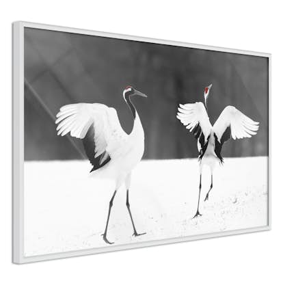 Poster Arkiio Affisch Dancing Cranes