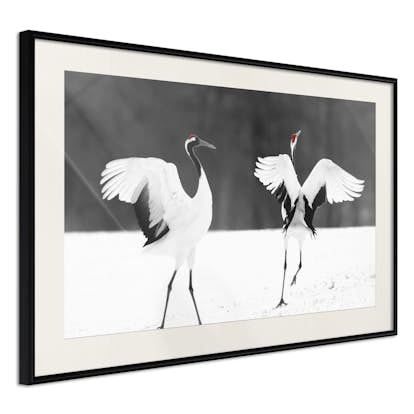 Poster Artgeist Affisch Dancing Cranes
