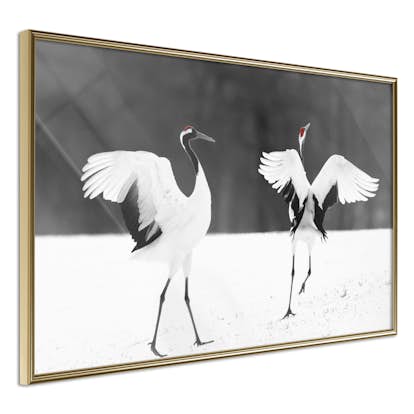 Poster Artgeist Affisch Dancing Cranes