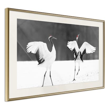Poster Artgeist Affisch Dancing Cranes