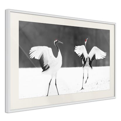 Poster Arkiio Affisch Dancing Cranes