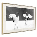Poster Artgeist Affisch Dancing Cranes